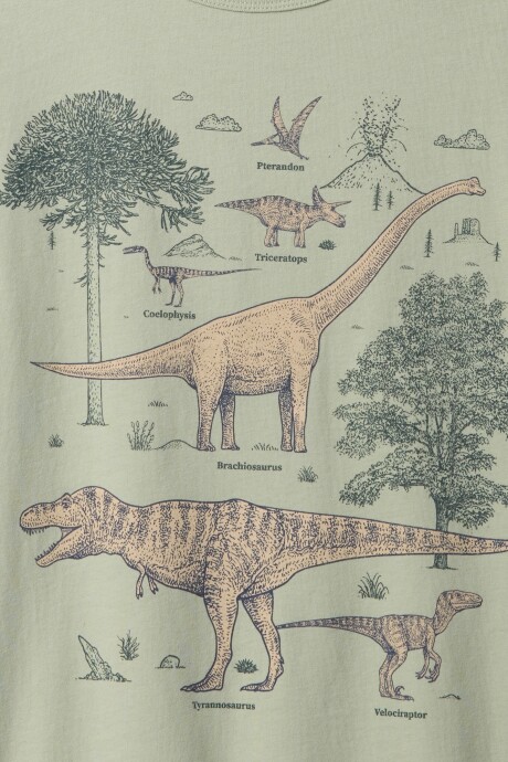 Remera Gráfico Niño Desert Sage