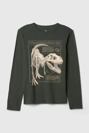 Remera Gràfico Manga Larga Niño Dinosaur