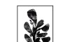 Cuadro Cancas 30x40cm - Rama Cuadro Cancas 30x40cm - Rama