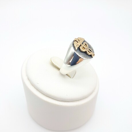 Anillo de plata 925 y oro 10 ktes, MEDICINA Anillo de plata 925 y oro 10 ktes, MEDICINA
