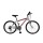 Bicicleta Baccio Alpina Man Montaña rodado 24 con 21 cambios Gris