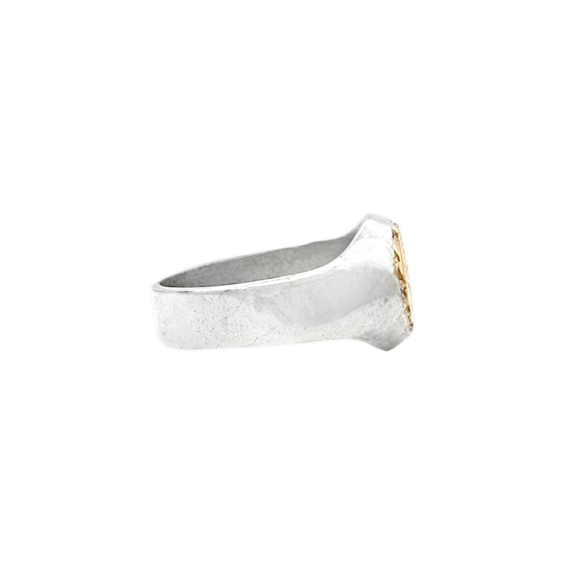 Anillo Profesión Economista -Plata y Oro-Sin Piedra-AP5015 sinpiedra