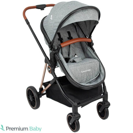Coche Travel Premium Baby System Ana Gris