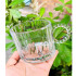 Taza de vidrio asa grande (OW209) Taza De Vidrio Asa Grande (ow209)