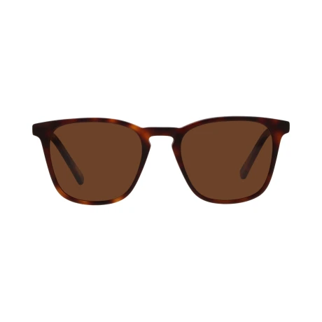 6012 Sol Carey+Marrón