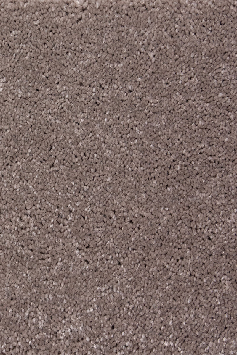 Devotion MOQUETTE DEVOTION BROWN 91 ANCHO 4M