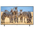 Smart Tv Lg 65" 4k Ai Qned 65qned80tsa TV 65 LG 65QNED80TSA