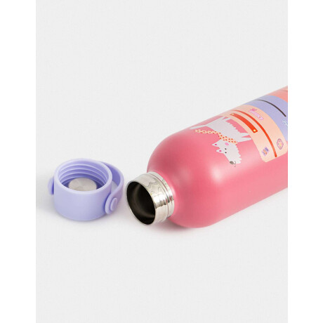 Botella Metálica Diseño Perrito Combinacion Multicolor