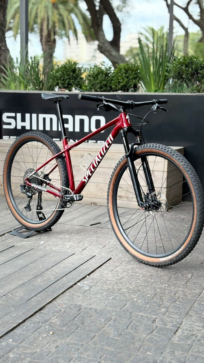 SPECIALIZED CHISEL T-M 