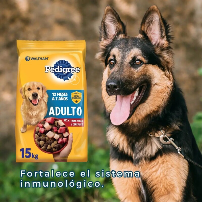 PEDIGREE PERROS ADULTOS 15 KG + SNACK BISCROK DE REGALO