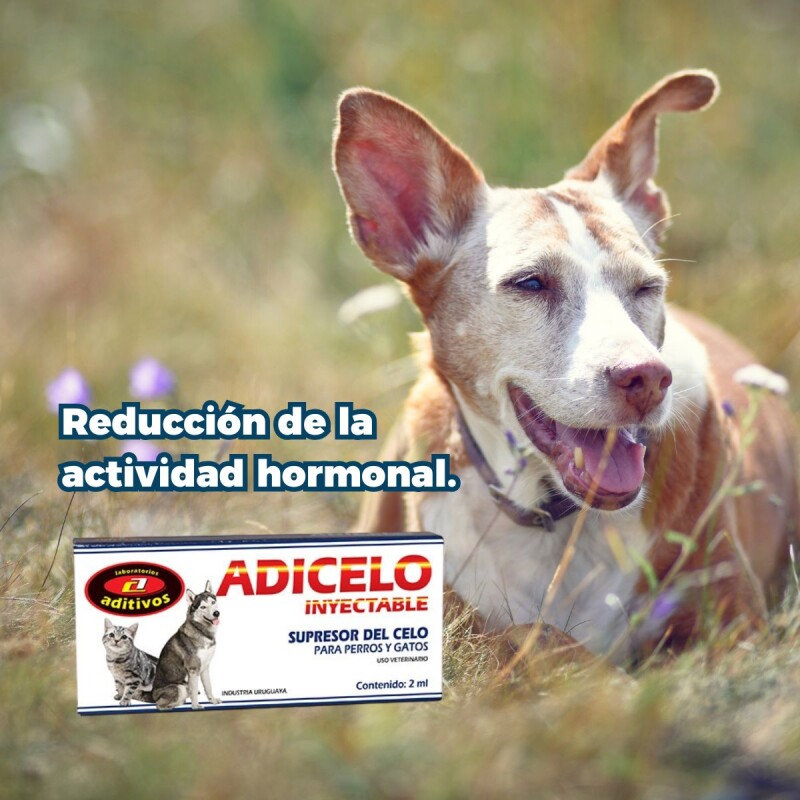 ADICELO INYECTABLE ADICELO INYECTABLE