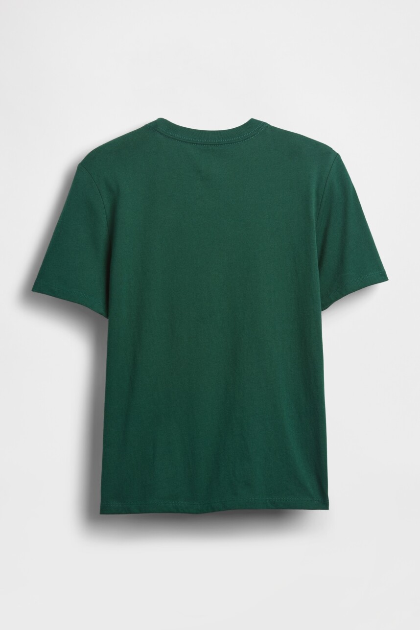 Remera Gráfico Niño Evergreen Glamour
