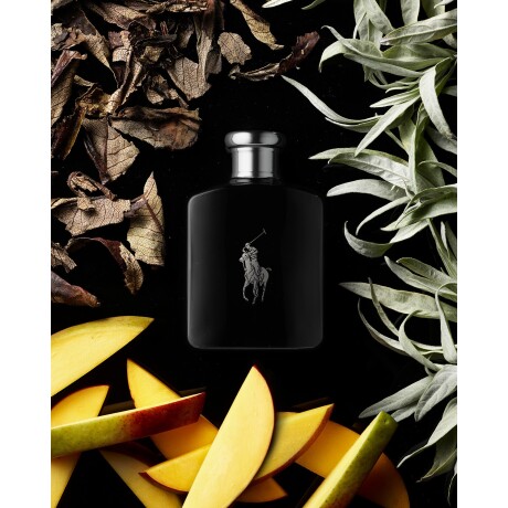 Perfume Polo Black Ralph Lauren 125ml Original Perfume Polo Black Ralph Lauren 125ml Original