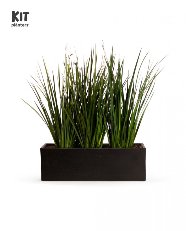 KIT Jardinera "Negro mate" 1m* 30cm* 30cm* con Dietes, Sustratos y cubresuelo