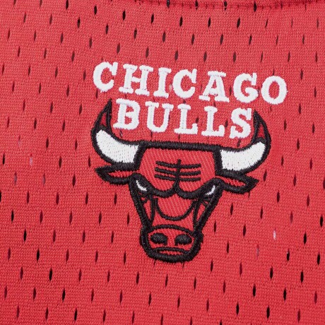 CAMISETA NBA Bulls