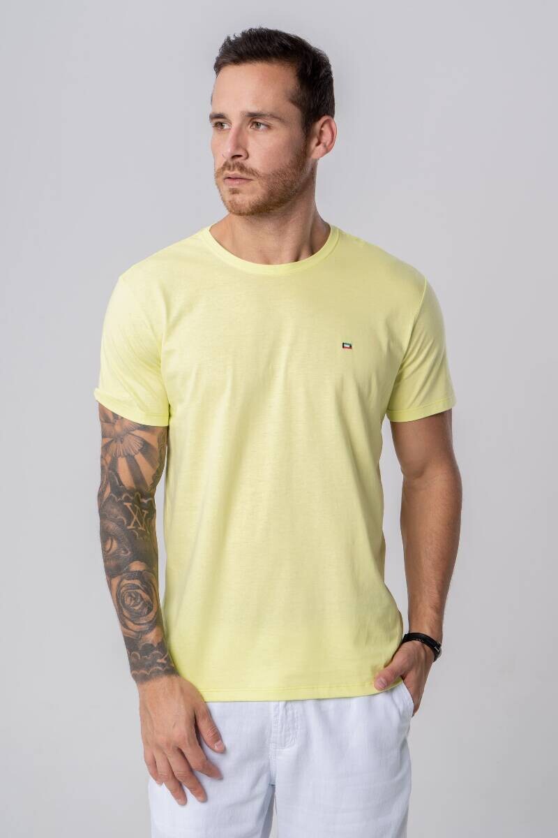 REMERA 