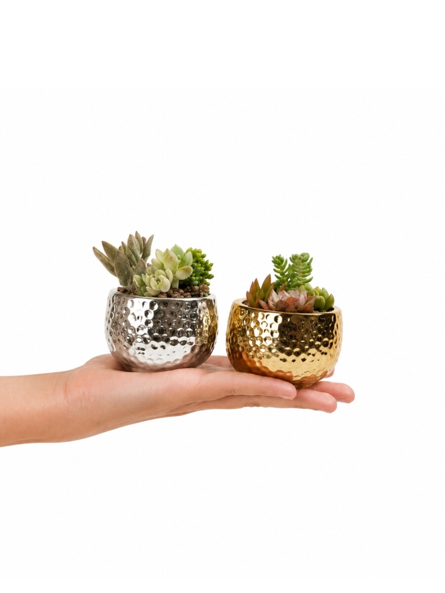 MACETA CERAMICA MINI DORADA