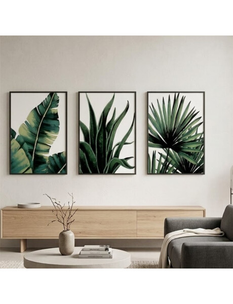 SET 3 CUADROS 40x60cm MARCO PLANTAS VERDES SET 3 CUADROS 40x60cm MARCO PLANTAS VERDES