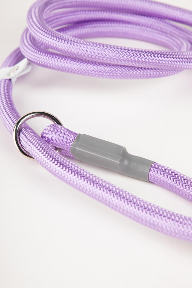 CORREA DE PERRO CORD VARIOS