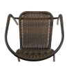 Silla Jardin de metal y ratán PVC con apoyabrazos Negro Silla Jardin de metal y ratán PVC con apoyabrazos Negro