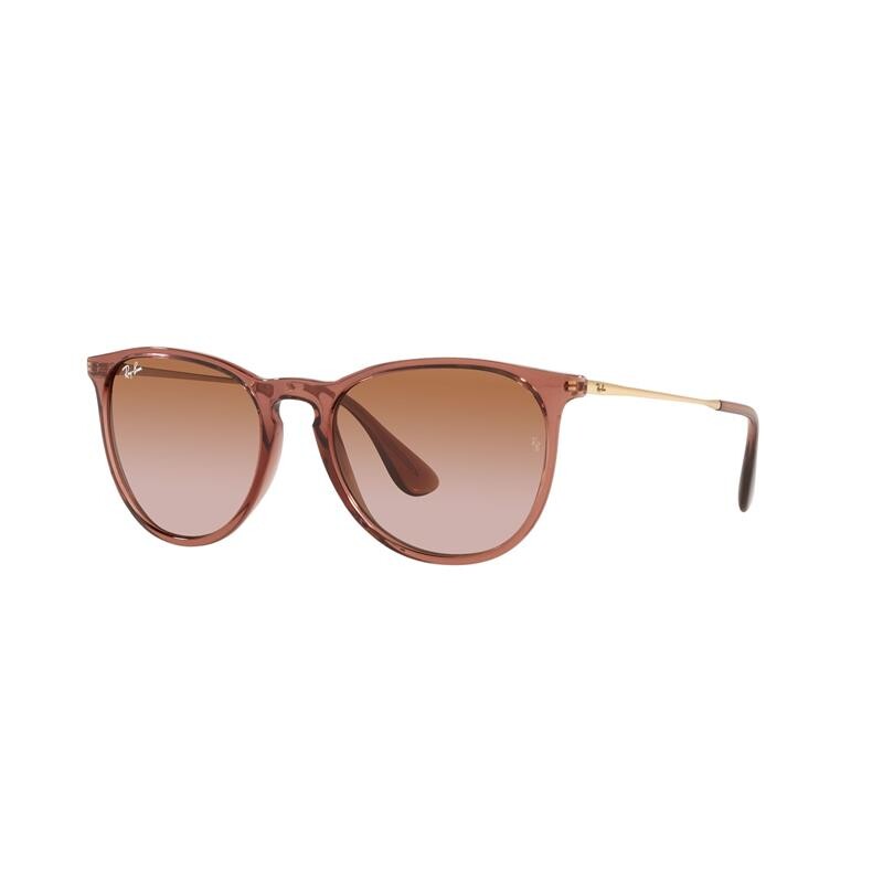 Ray Ban Rb4171 Erika 6590/13