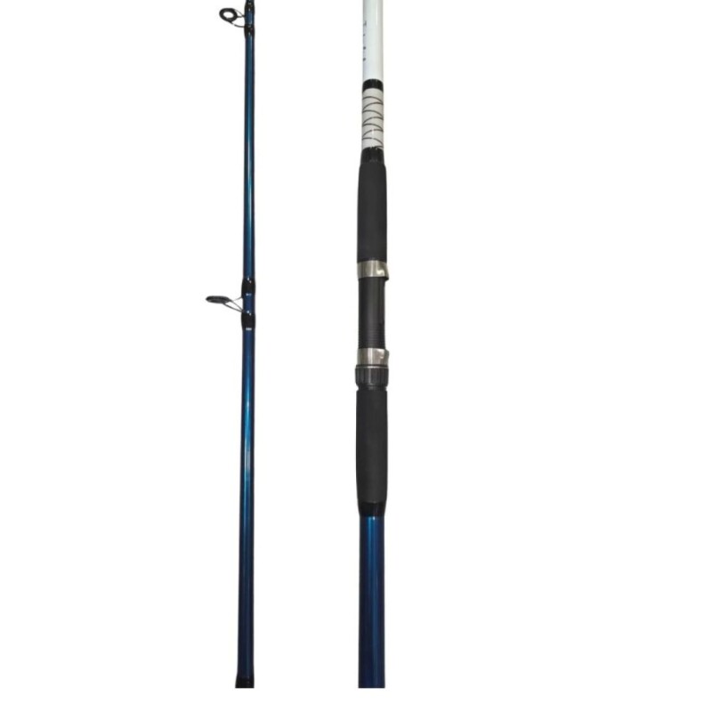 Caña Interfish Pro Top Surf 3.00 M 2 Tramos Fibra Vidrio 100 250g Caña Interfish Pro Top Surf 3.00 M 2 Tramos Fibra Vidrio 100 250g