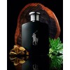 Perfume Polo Black Ralph Lauren 75ml Perfume Polo Black Ralph Lauren 75ml
