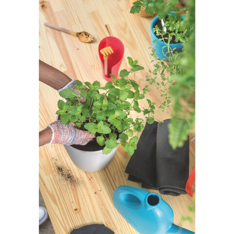 Regadera plástica azul, 2 litros -TRAMONTINA TN1821