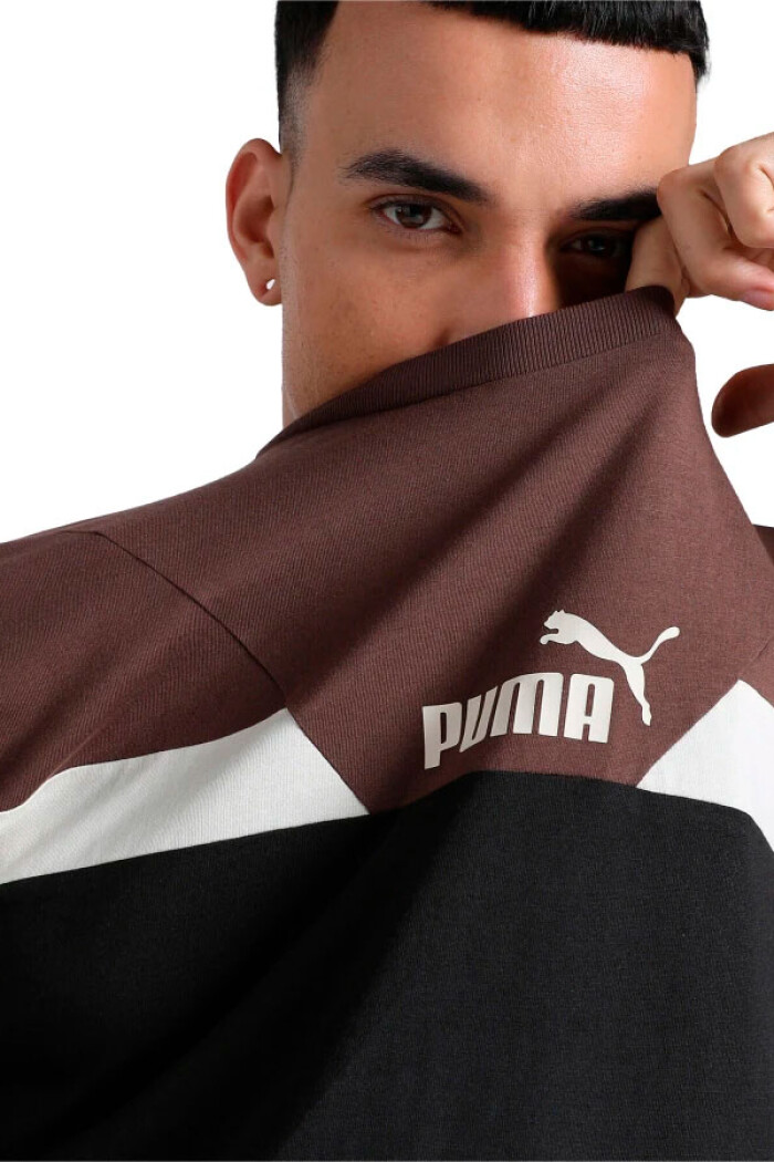 REMERA HOMBRE PUMA POWER COLORBLOCK TEE Marron