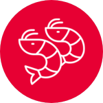 Mariscos
