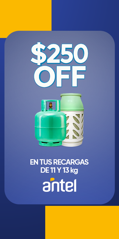 HomeGrupo1 - Antel $250