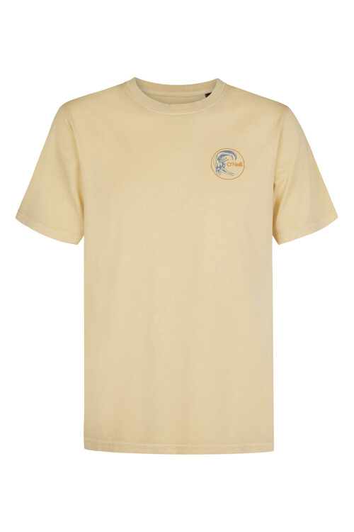 Remera O'Neill Retro 1952 Back Macaron