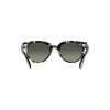 Ray Ban Rb2199 Orion 1333/71