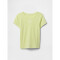 V-SS POINTELLE TEE CITRON