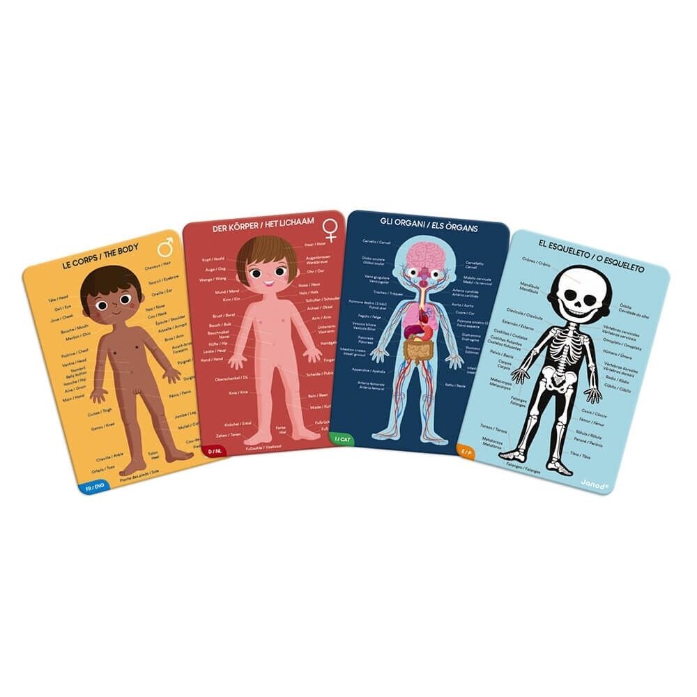 PUZLE GIGANTE EDUCATIVO CUERPO HUMANO JANOD X3 PUZLE GIGANTE EDUCATIVO CUERPO HUMANO JANOD X3