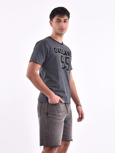 REMERA VARSITY REGULAR ESTAMPADO 3