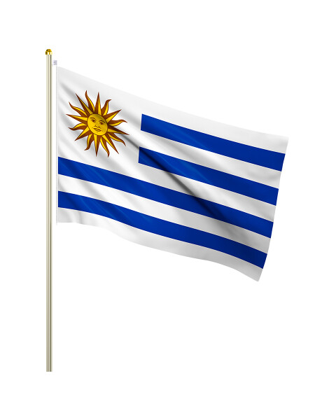 BANDERIN CON PALO BLANCO
