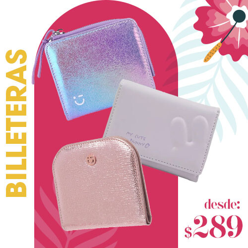 Billeteras desde 289