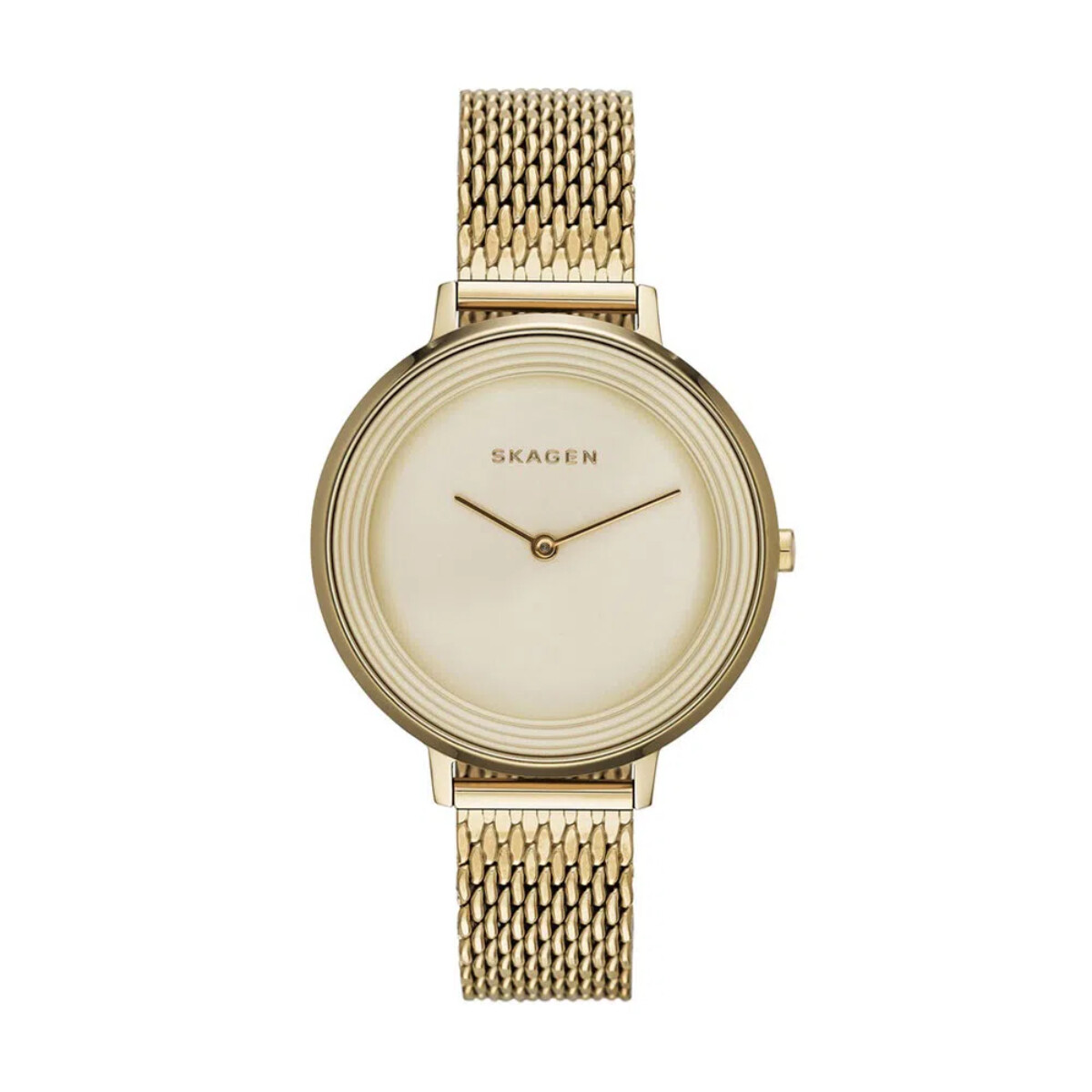 Reloj Skagen Fashion Acero Oro 