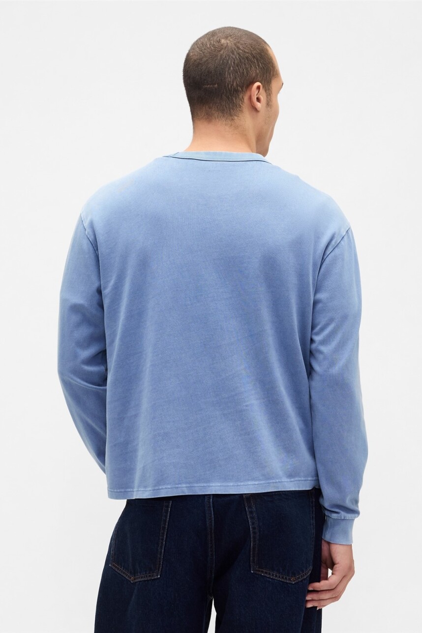 Remera Manga Larga Heavyweight Hombre Cornflower829