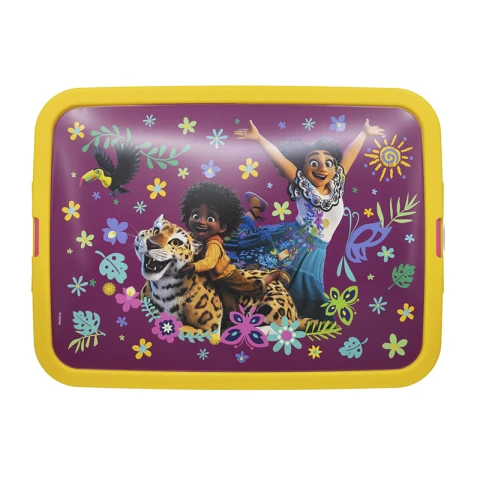 Caja Organizadora Infantil Encanto 13 Lts Plástica U
