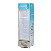 VISICOOLER MODELO VC-315 VISICOOLER MODELO VC-315