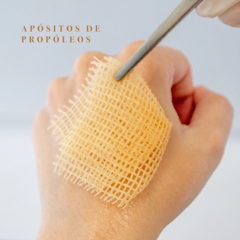 Apósitos Propóleo D NF 10x10 cm 2 Unidades Apósitos Propóleo D NF 10x10 cm 2 Unidades