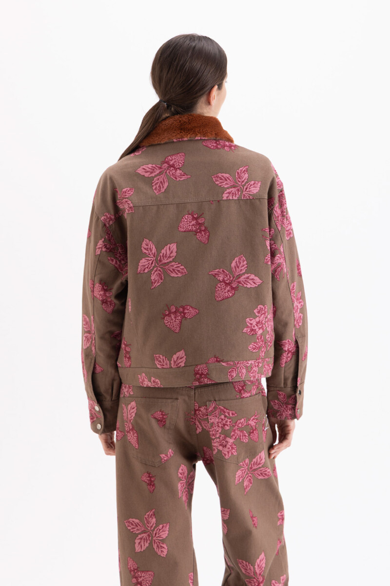 CHAQUETA FRUIT Marron