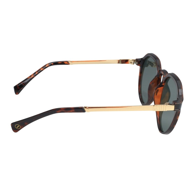 Lentes de Sol Chilli Beans Alejandria Animal Print - Verde