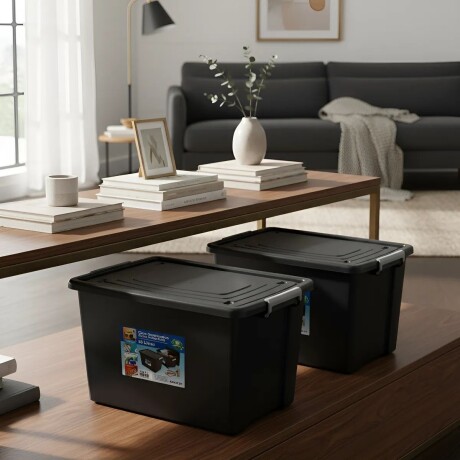 Set x2 caja organizadora 56 lts NEGRO