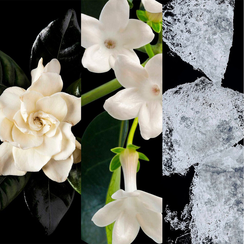 212 NYC Eau De Toilette 212 NYC Eau De Toilette