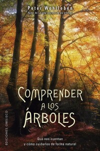 Comprender A Los Arboles Comprender A Los Arboles