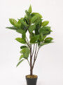 Planta Ficus Lyrata 95cm Color Unico