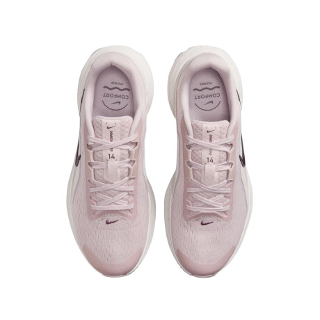Championes Nike Downshifter 14 600